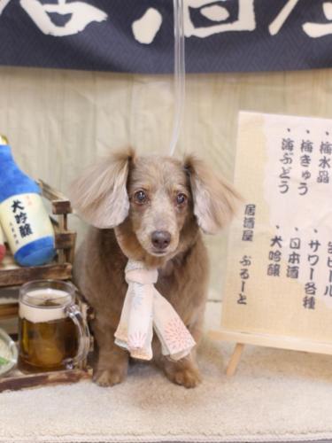 20240622桃ちゃん